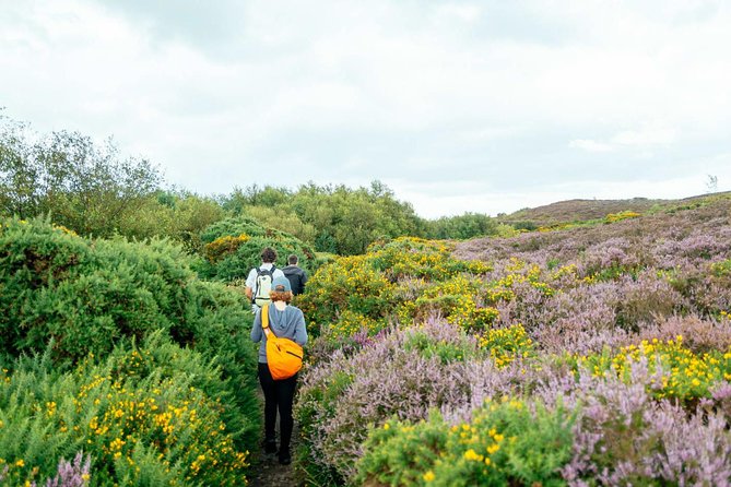 City Explorer: Howth Private Day Trip - Howth Castle