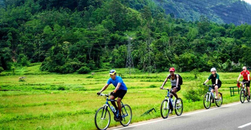City & Fort Cycling Tour in Galle - Inclusions and Equipment