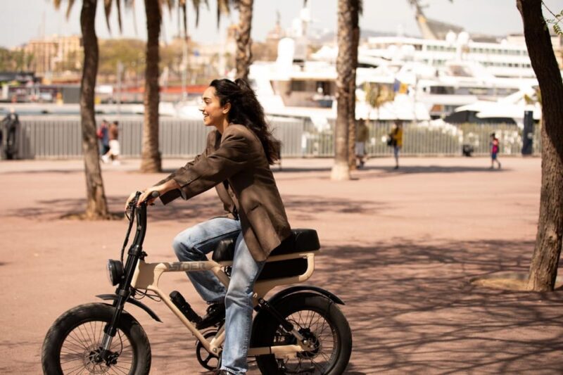 City Highlight Tour on a Luxury (electrical) Fatbike - Bike Features