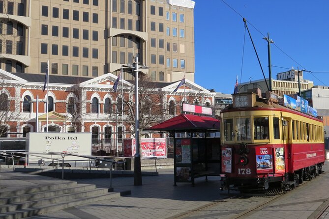 City Highlights by Tesla - 3hrs - Exploring Christchurch by Tesla