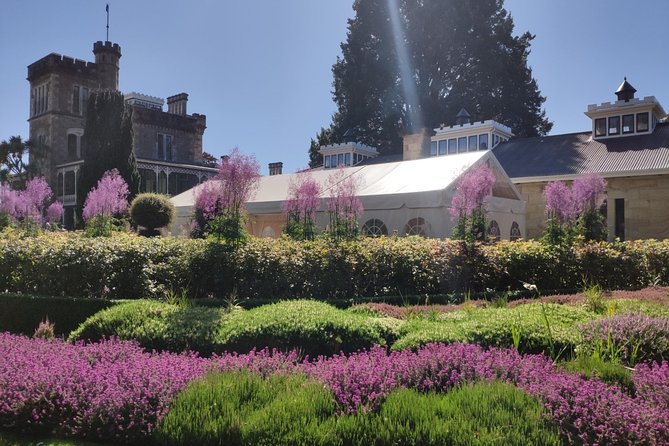 City Highlights, Larnach Castle & Peninsula Views - Dunedin City Highlights