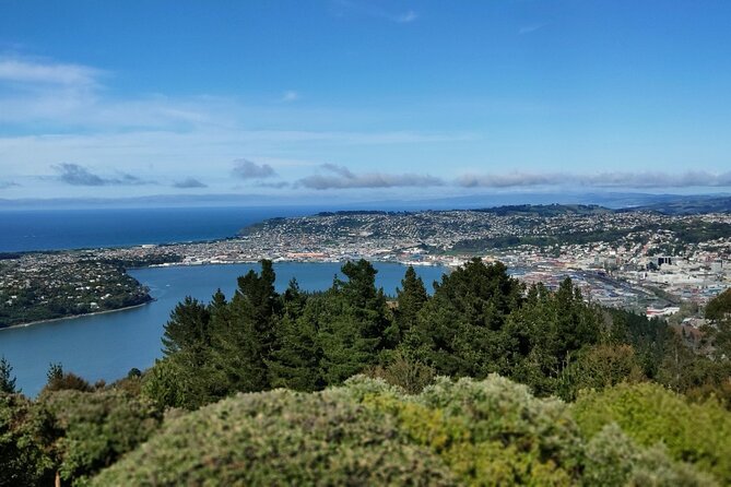 City Highlights, Larnach Castle & Peninsula Views - Otago Peninsula Exploration