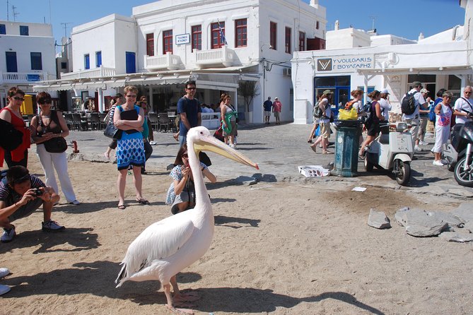 City & Island Tour - Inclusions and Exclusions