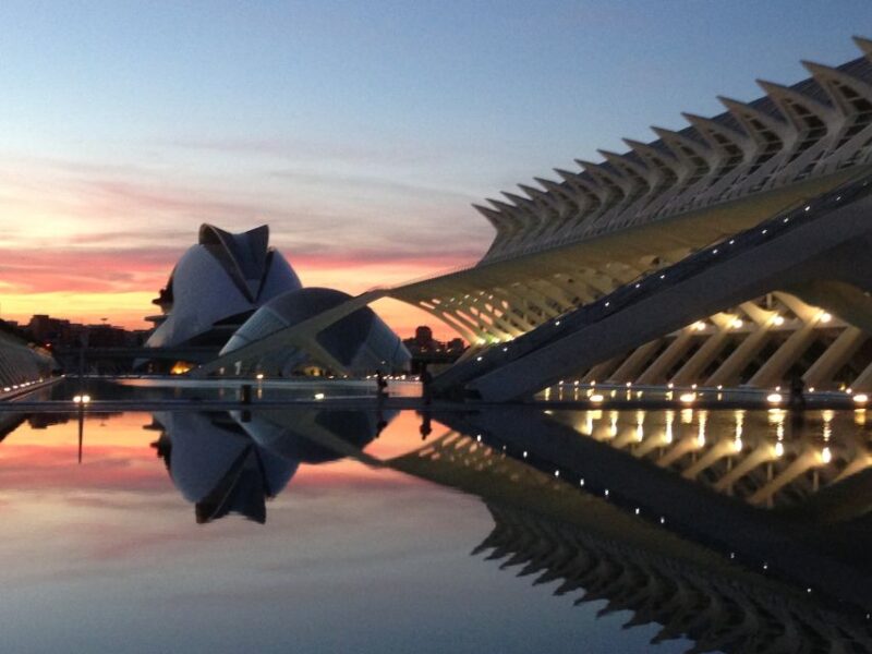 City of Arts and Sciences & Oceanografic 2-Hour Guided Tour - Highlights of the Hemisféric Planetarium