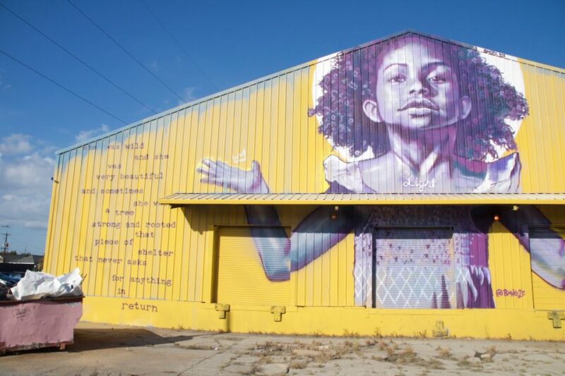 City of New Orleans and Katrina Recovery Tour - Tour Highlights