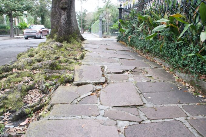City of New Orleans and Katrina Recovery Tour - Transportation and Guide