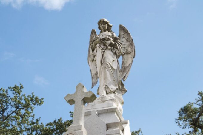 City of New Orleans and Katrina Recovery Tour - Historic Sights Explored