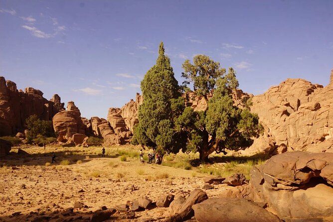 City of Sefar Private 7-Day Trek in the Algerian Sahara - Physical Fitness Level