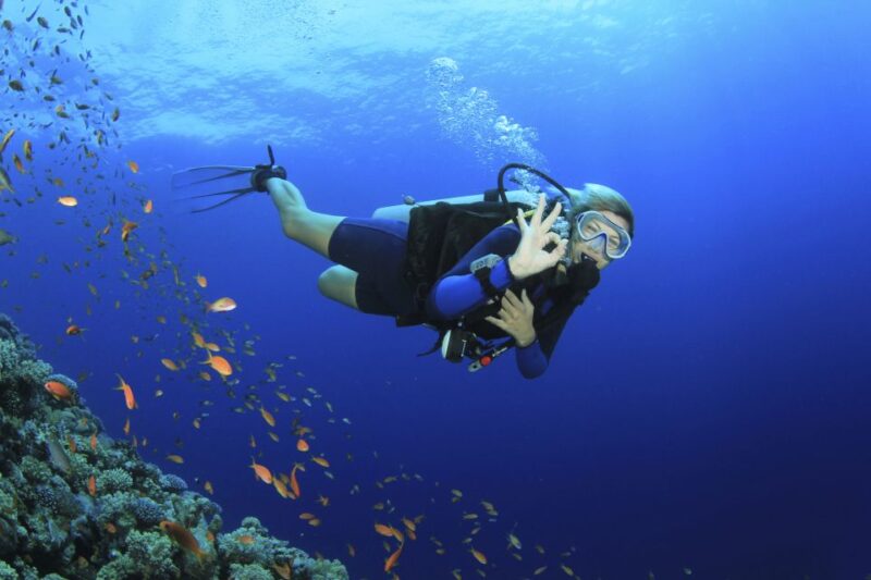 City of Side: Scuba Diving With Pickup, Lunch, and 2 Dives - Frequently Asked Questions