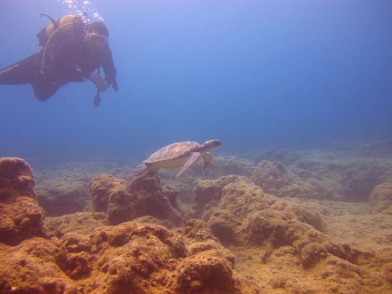 City of Side: Underwater Museum Scuba Diving Visit - Participant Information
