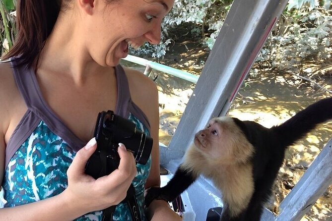 City Outings: Panama Jungle Adventure - Booking and Availability