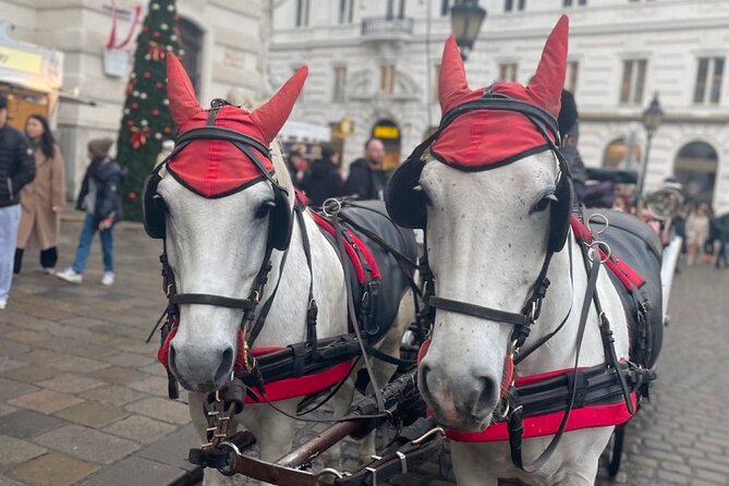 CITY QUEST Vienna: Uncover the Secrets of This City! - Frequently Asked Questions