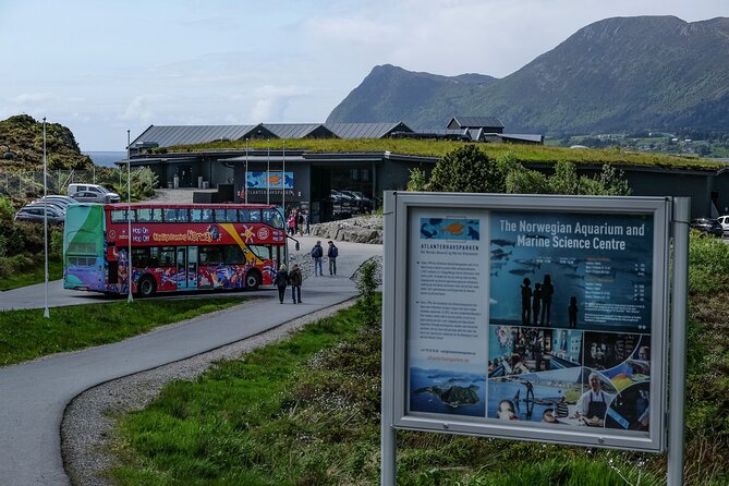 City Sightseeing Alesund Hop-On Hop-Off Bus Tour - Customer Feedback