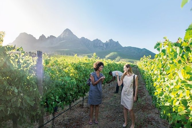 City Sightseeing Full Day Tour With Stellenbosch and Franschhoek Wineries - Schedule and Timing