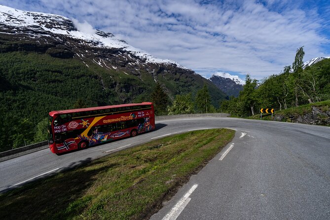 City Sightseeing Geiranger Hop-On Hop-Off Bus Tour - Tour Accessibility