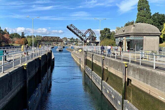 City Sightseeing Seattle HOHO Bus and Locks or Harbour Cruise - The Sum Up: Who Should Consider This Tour?