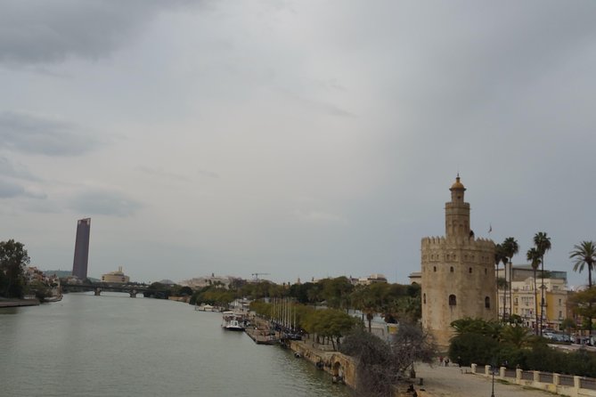 City Sightseeing Seville Hop-On Hop-Off Bus Tour - Operating Schedule and Logistics