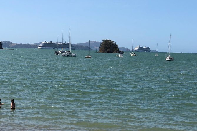 City to City Transfers (Auckland - Whangarei , Paihia ) - Pricing and Guarantees