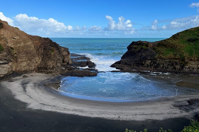 City to Piha - Auckland Day Expedition - Health and Accessibility Considerations