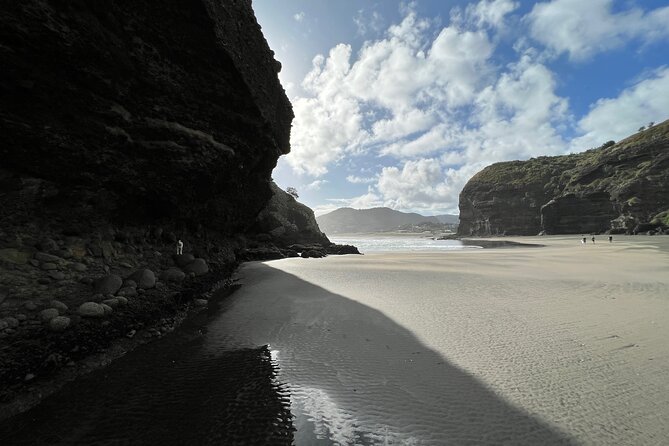 City to Piha - Auckland Day Expedition - Itinerary and Activity Details