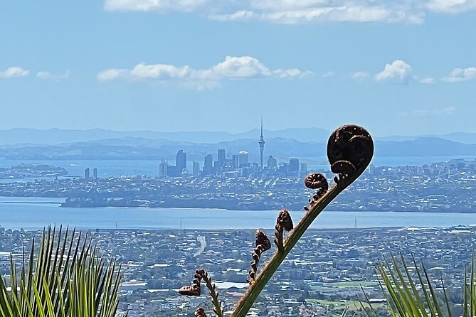 City to Piha - Auckland Day Expedition - Booking and Confirmation Process