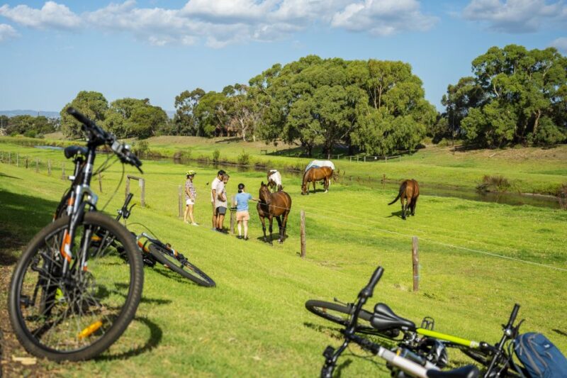 City to Sea Adelaide Bike Tour - Explore Vibrant Glenelg