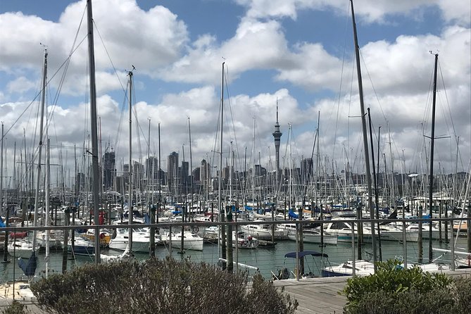“City to Surf” - Private Tour With German Tour Guide - About the Tour Operator