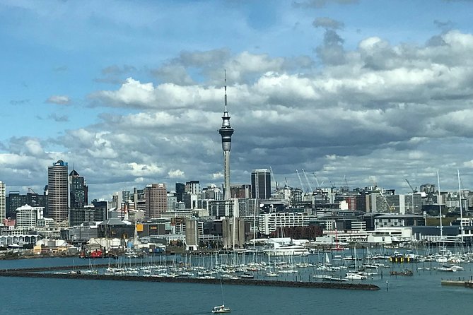 City to Surf Signature Private Tour - Highlights