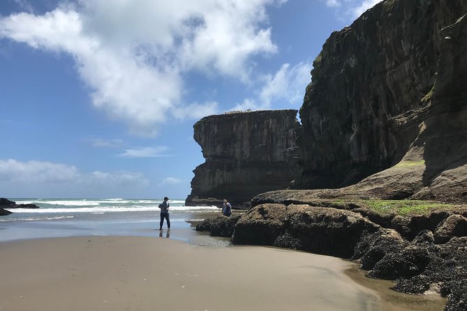 City to Surf Signature Private Tour - What to Expect