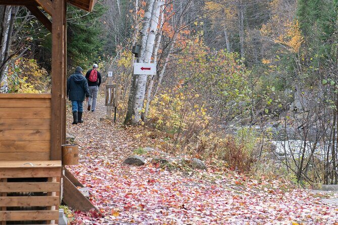 City tour and hiking to the Canyon and Waterfall in the Park - Who Should Consider This Tour?