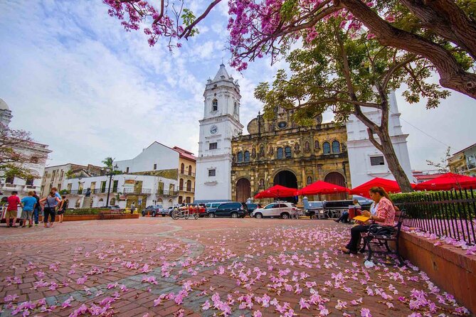 City Tour and Panama Canal - Feedback and Recommendations