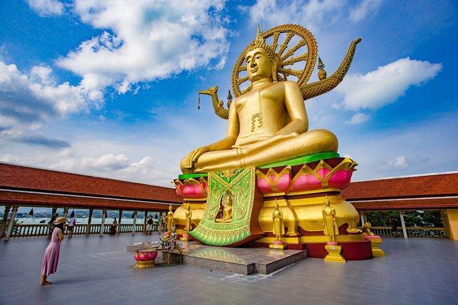 City Tour Around Koh Samui - Transportation and Guide