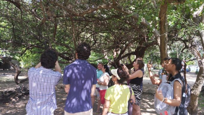 City Tour Cartagena & Highlights - Tour Cancellation Policy