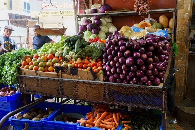 City Tour & Half-Day Safari Experiences - What Travelers Say