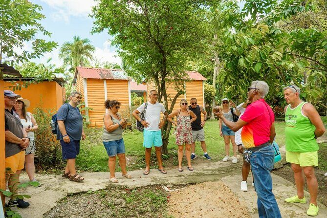 City Tour & Half-Day Safari Experiences - Who Should Consider This Tour?
