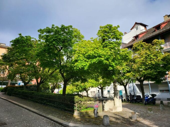 City Tour Historic Old Town Zurich - Key Sights and Attractions