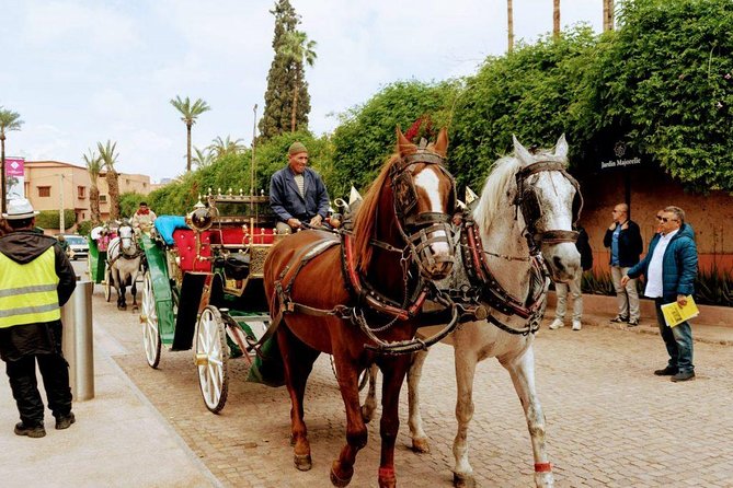City Tour in Marrakech, Book Your Guide With Us. - Private Guide Included
