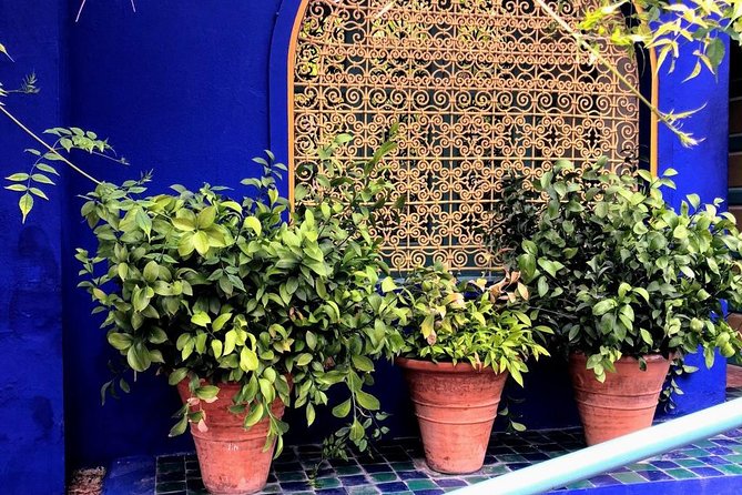 City Tour in Marrakech, Book Your Guide With Us. - Infants and Strollers