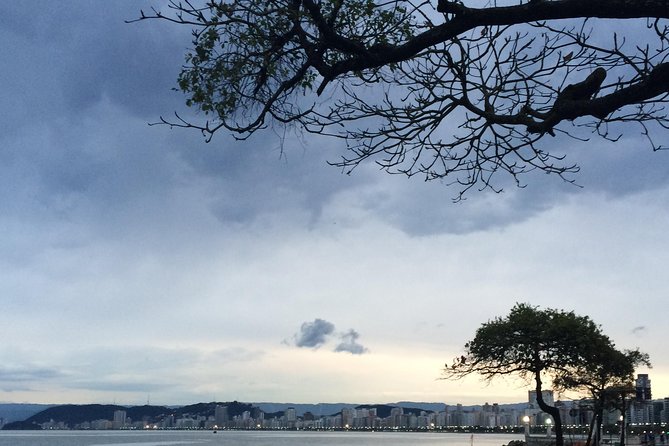 City Tour in Santos - History, Traditions and Culture - Indulging in Authentic Brazilian Cuisine
