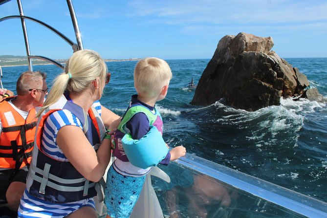 City Tour La Paz, Balandra Beach and the Magic Town of Todos Santos - Experience in Todos Santos