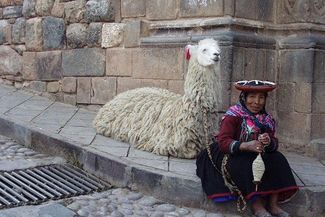 City Tour of Cusco: Private Half Day - Private Guided Experience