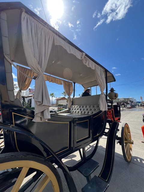 City Tour on Electric Horse Wagon. - Pricing and Reservations