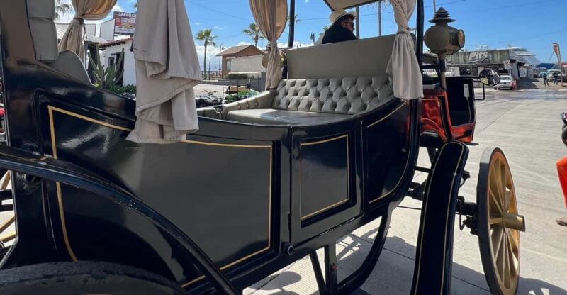 City Tour on Electric Horse Wagon. - Accessibility and Restrictions