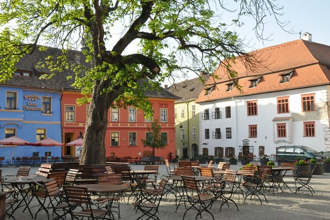 City Tour Sighisoara in English - Tour Pricing and Inclusions
