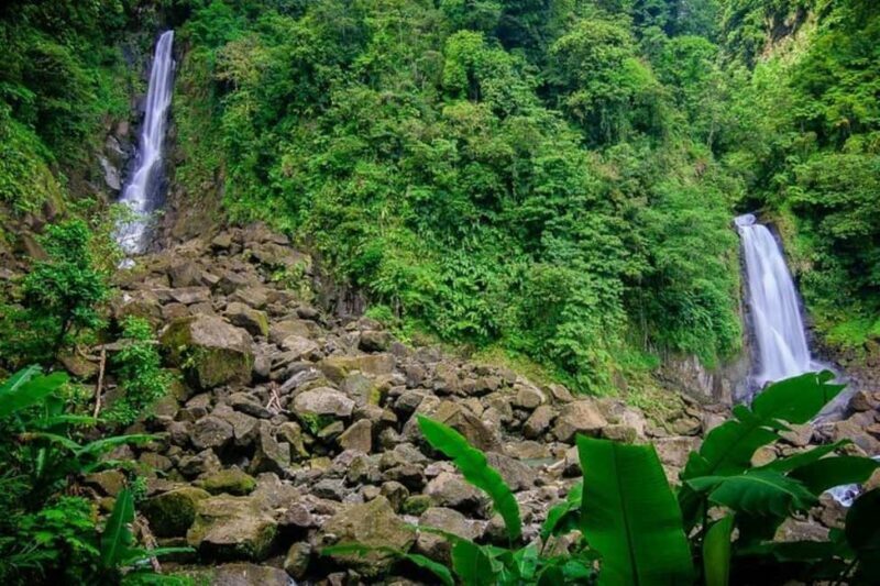 City Tour w/ Gardens, Volcano, Trafalgar Falls, Morne Bruce - An In-Depth Look at the Roseau City Tour Experience