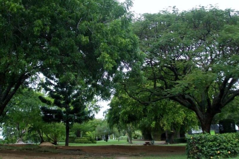 City Tour With Botanical Gardens, T Falls, & Morne Bruce - Key Points