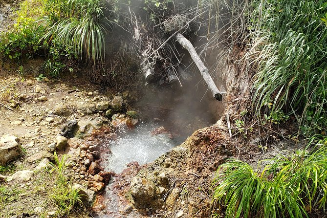 City Tour With Botanical Gardens, Trafalgar Falls & Morne Bruce - Roseaus History and Culture
