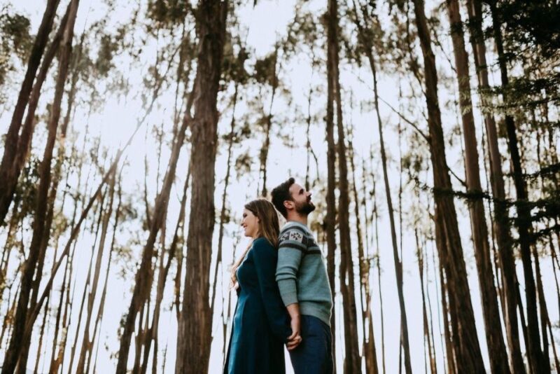 City Tour With Visit to Eucalyptus Forest - Tour Overview and Pricing