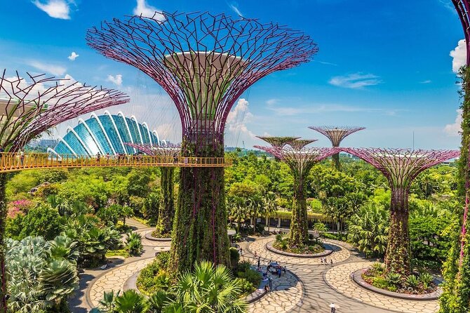 City Tour+Gardens by the Bay(CloudForest&Super Tree)Transfers - Gardens by the Bay