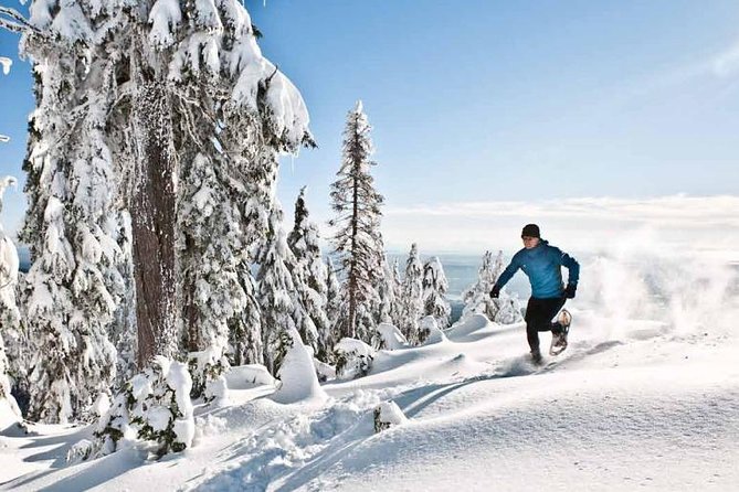 CityPassport Vancouver - Attractions Pass and Destination Guide - Navigating Transportation Between Activities